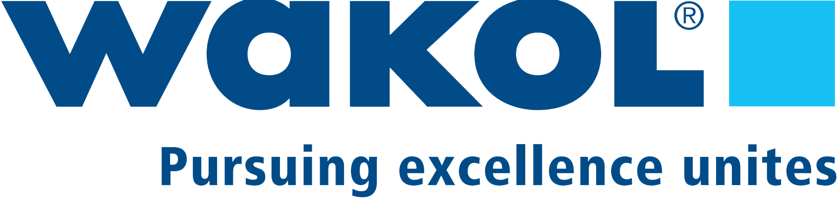 Logo USA